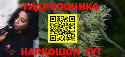 шишки Кулебаки