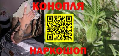стаф Лесосибирск