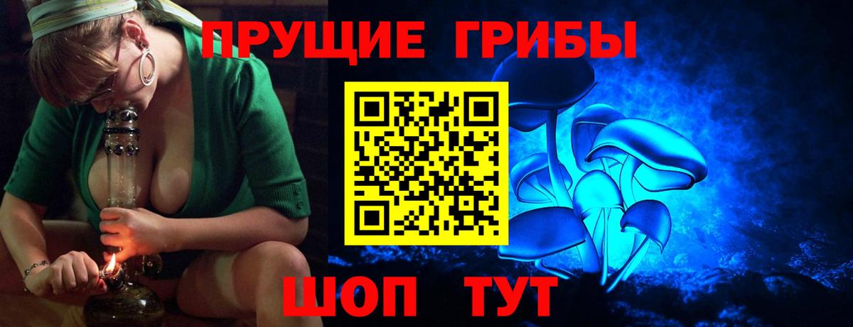 Галлюциногенные грибы Psilocybe Камышин